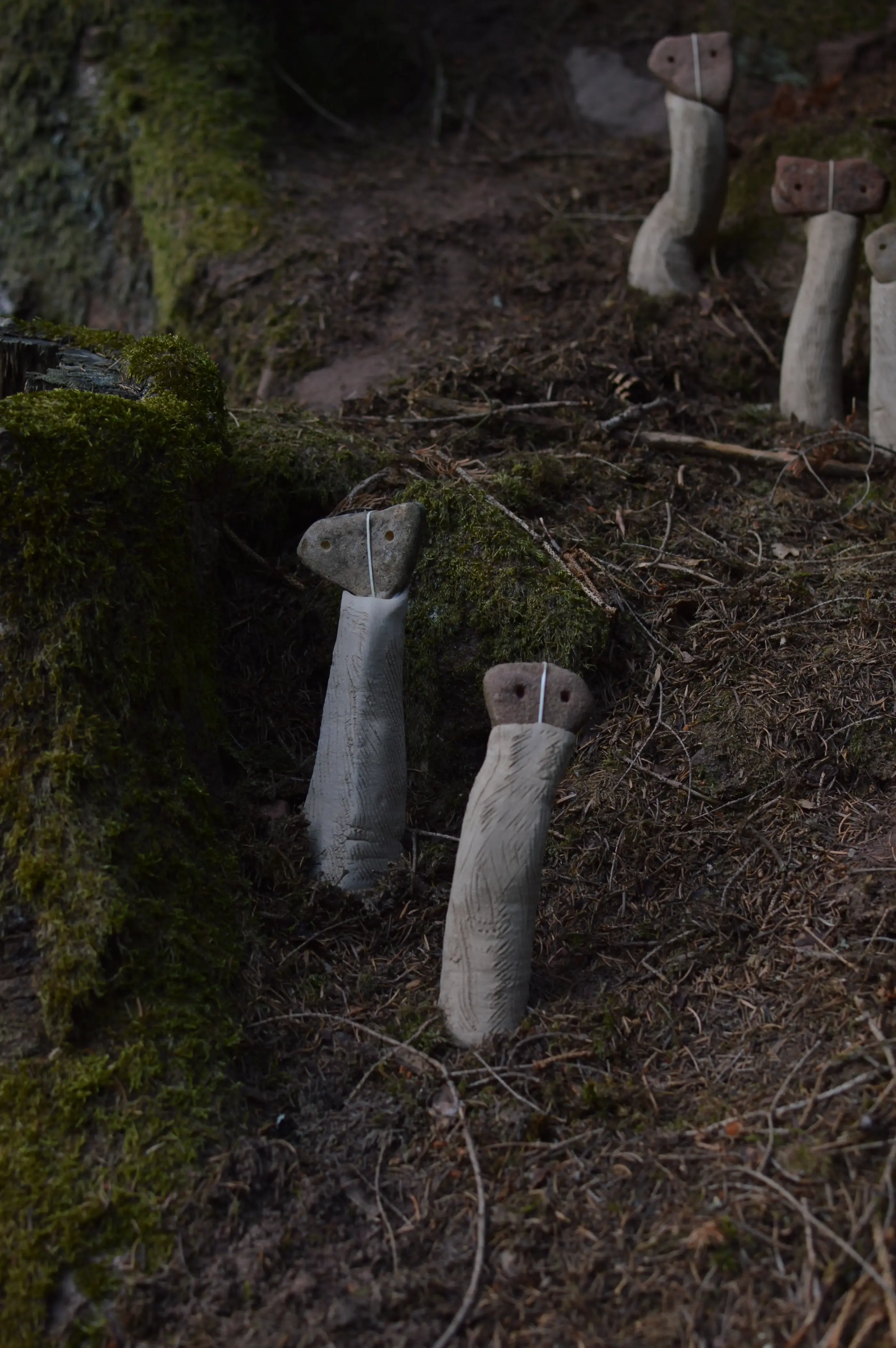 un petit groupe de kodamas dans la foret